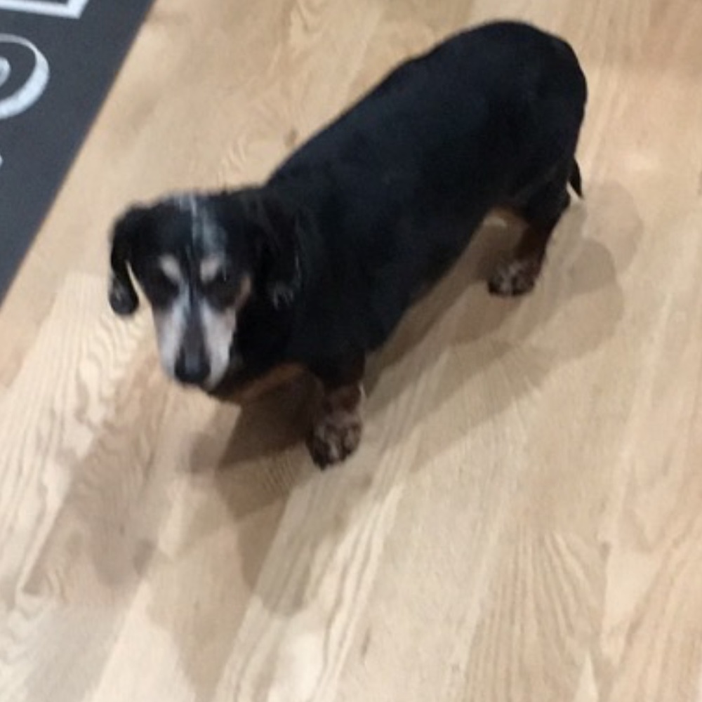 Meet your Posher, Celeste